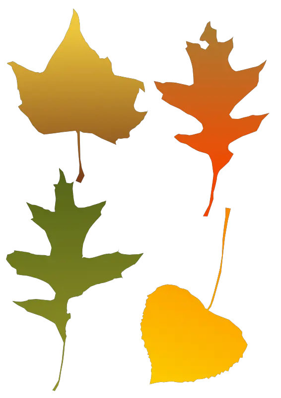 Download Autumn Leaves Autumn Leaf Clip Art Png Image With Autumn Leaf Clip Art Autumn Leaves Transparent Background