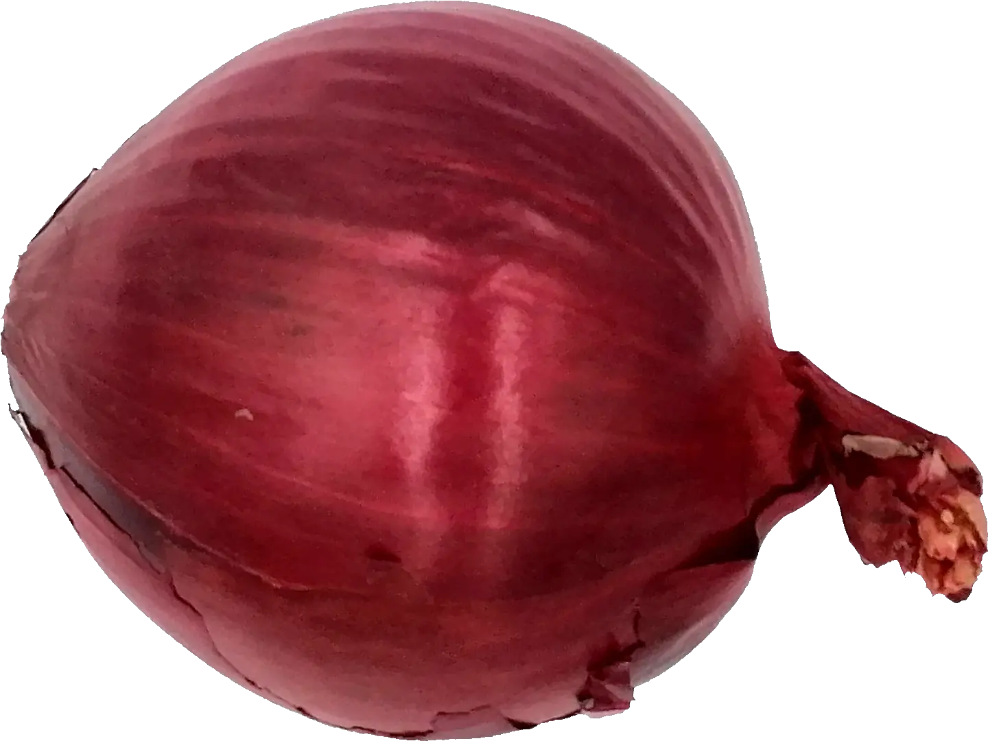 Onion Png Transparent Onlygfxcom Red Onion Onion Transparent Background