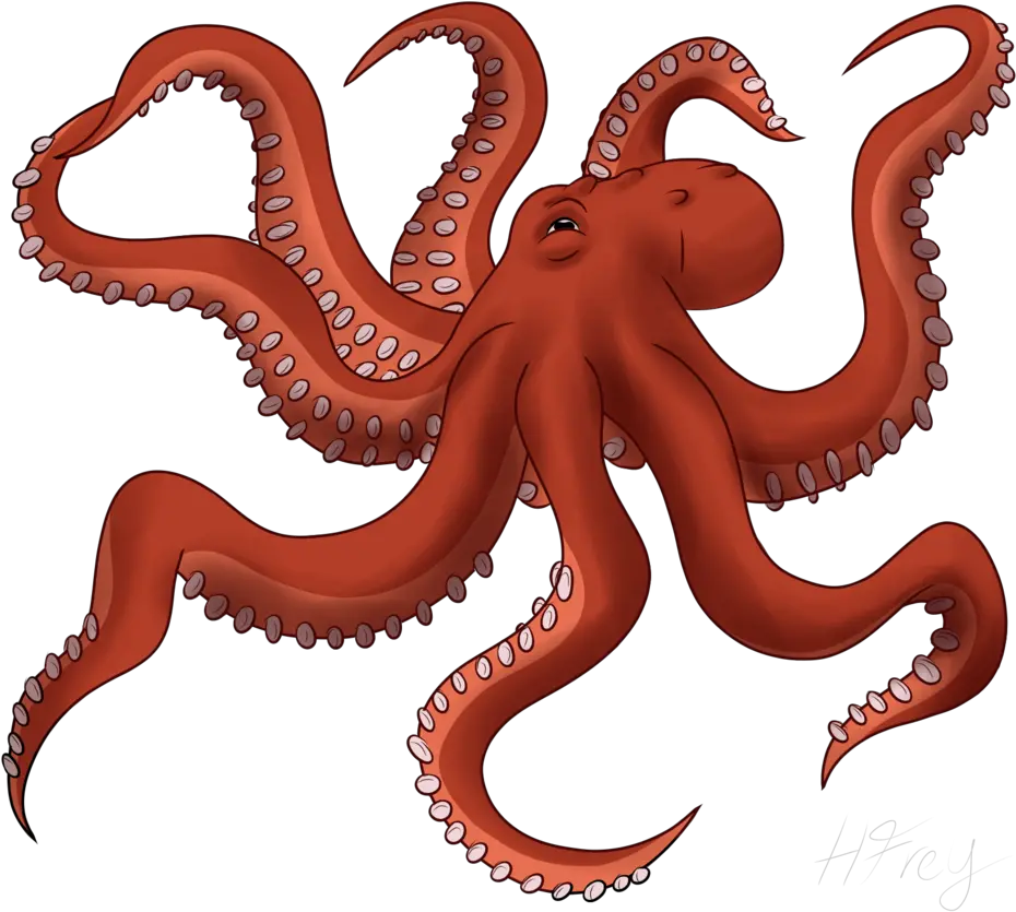 Png Images Transparent Free Download Octopus Png Octopus Png