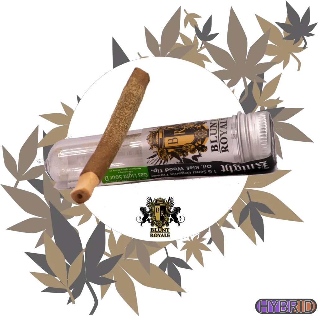 Blunt U2013 Tacoma House Of Cannabis Cigars Png Blunt Png