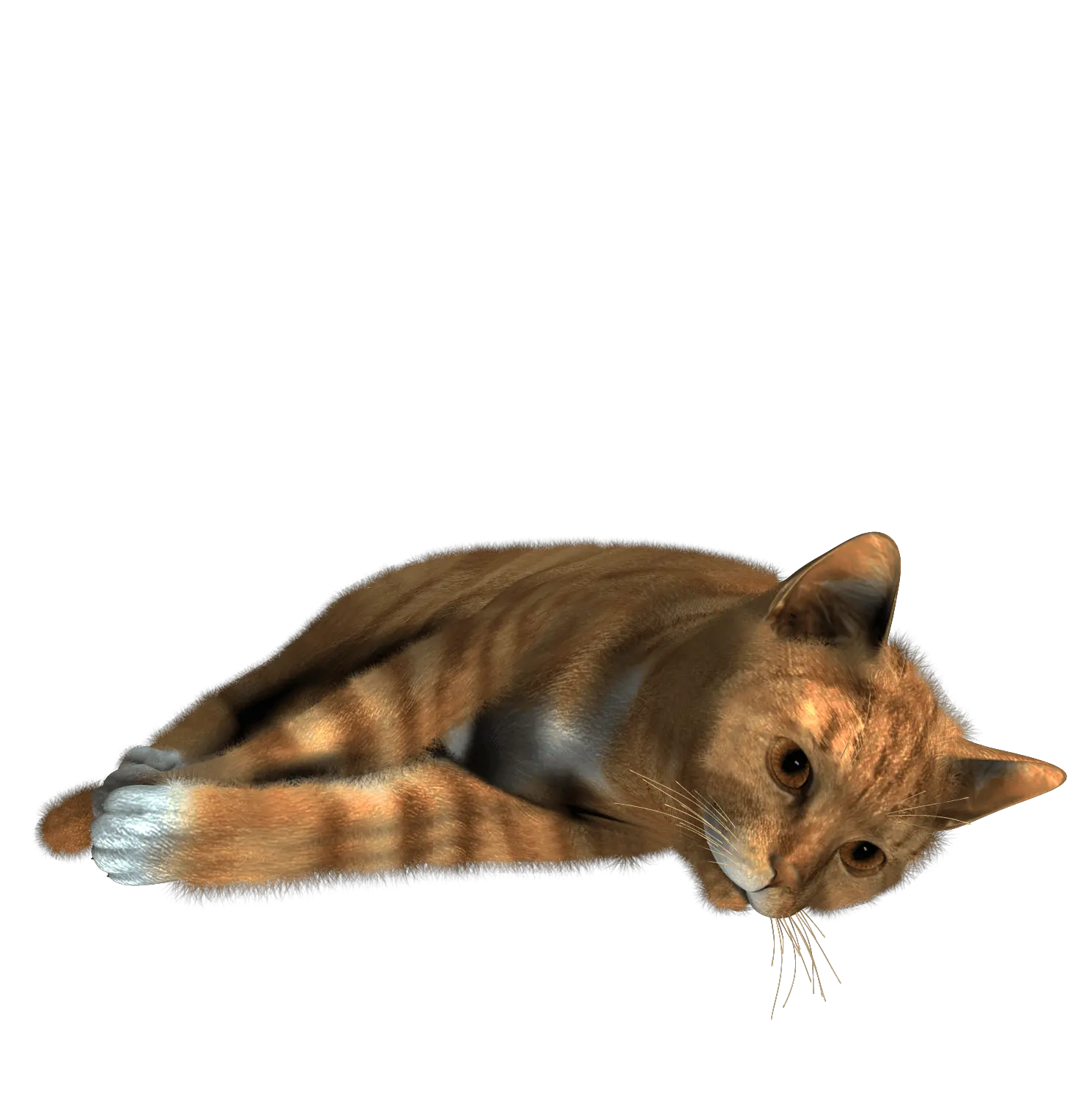 Uwu Cat Png