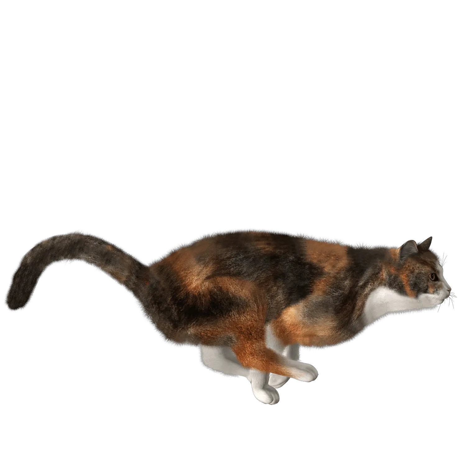 Pixel Cat Png