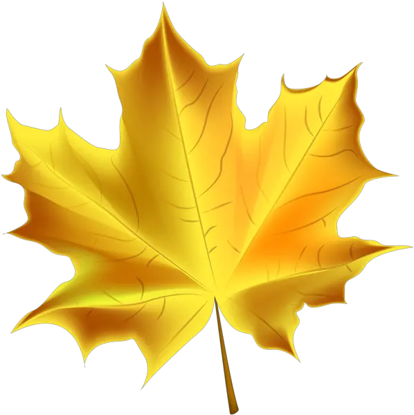 Yellow Fall Leaf Clipart Transparent Background Leaf Clipart Png Autumn Leaf Png