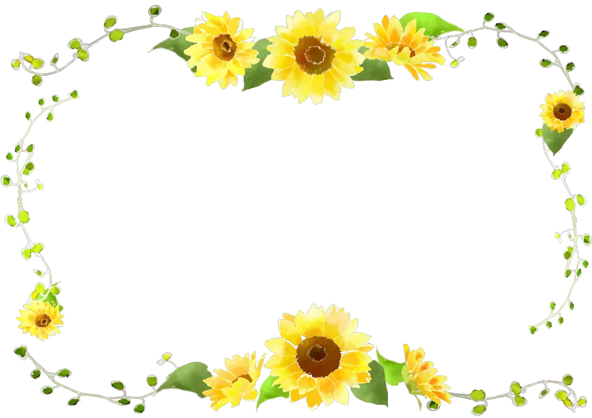 Sunflower Transparent Png