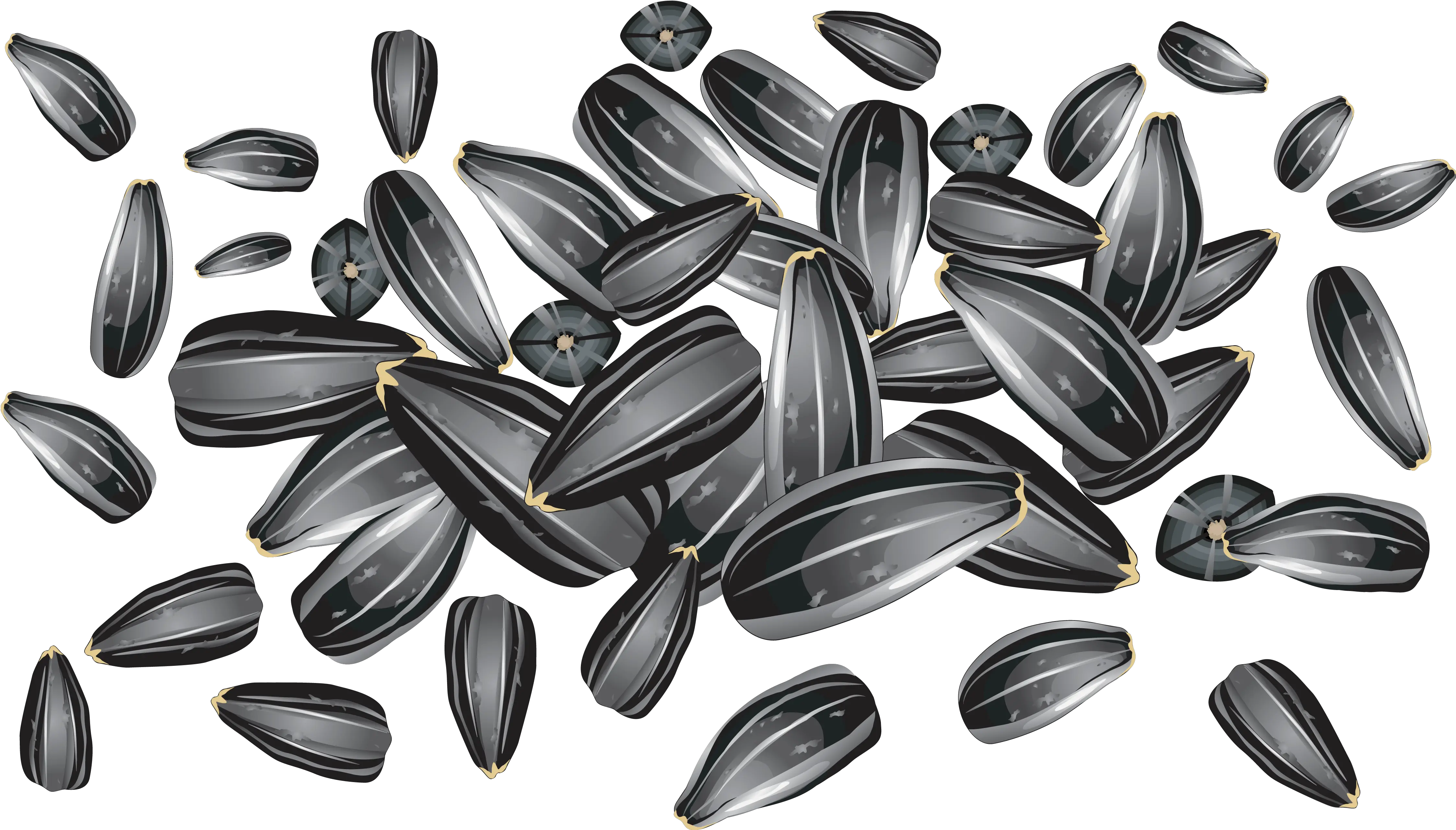 Download Sunflower Seeds Png Image For Free Sunflower Seeds Free Vector Seed Png