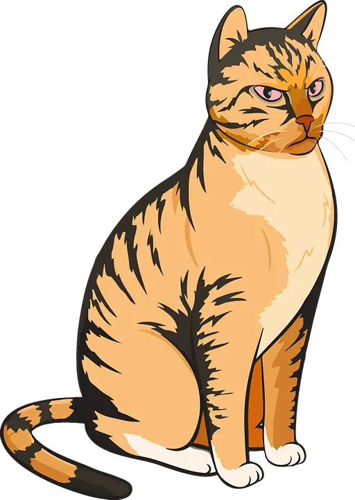 Cat Cartoon Png