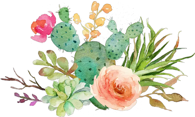 Watercolor Succulent Clipart Watercolor Cactus Transparent Background Png Cactus Clipart Png