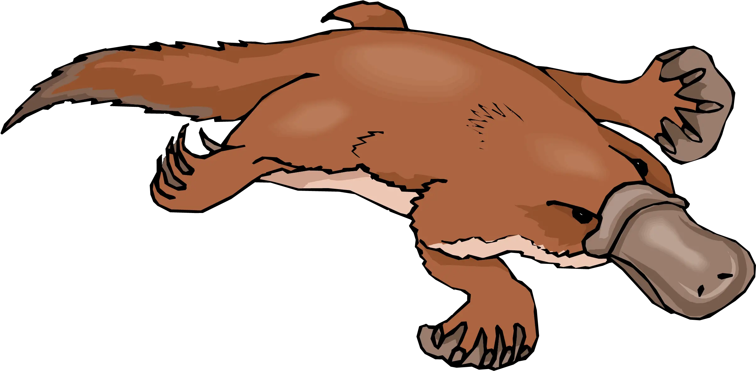 Free Clipart Clip Art Images Png Platypus