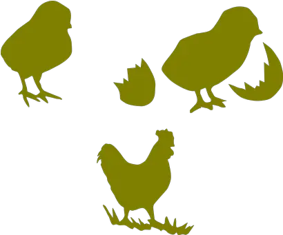 Chicken Cock Poultry Hen Farming Chick Coc Outline Silhouette Chickens Png Chicken Clipart Png