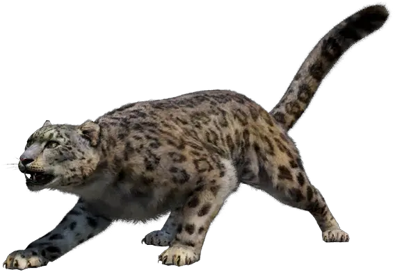 Snow Leopard Far Cry 4 Leopard Png Snow Leopard Png