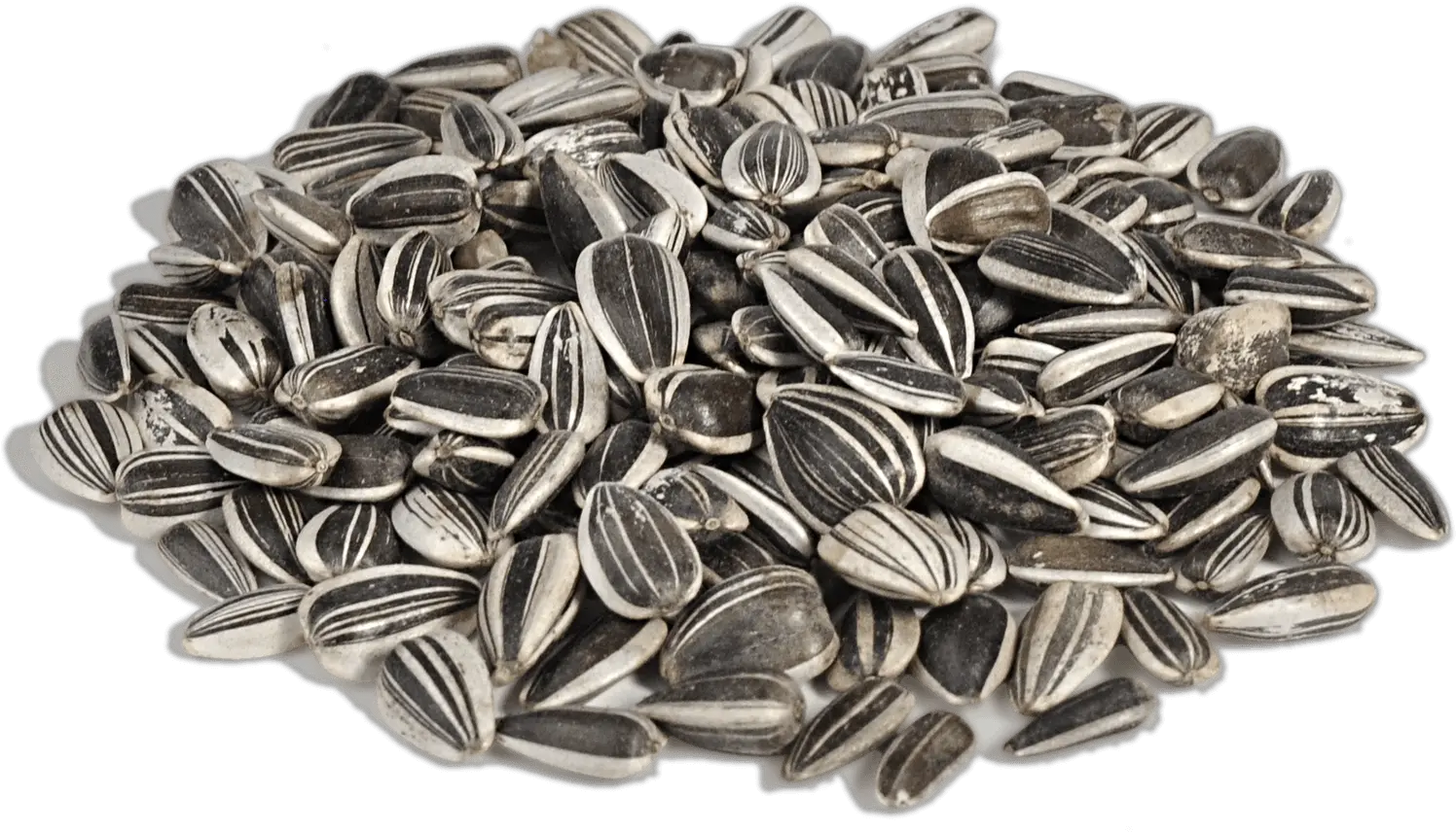 Download Sunflower Seeds Png Image For Free Sunflower Seeds Transparent Background Seed Png