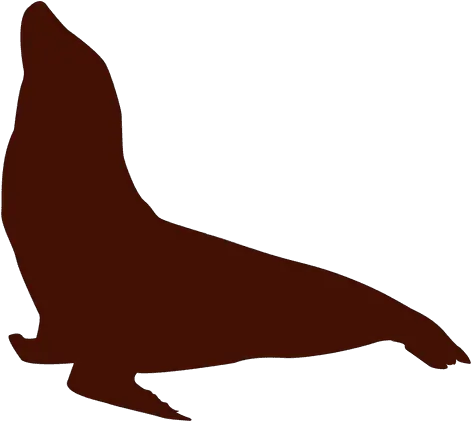 Pin California Sea Lion Silhouette Png Lion Silhouette Png