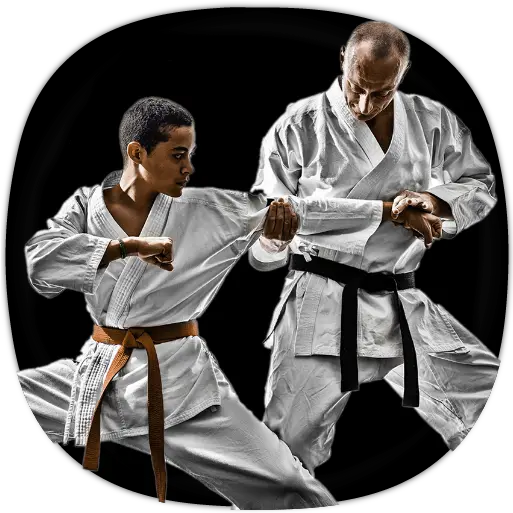 Karate Training Guide 11 Download Android Apk Aptoide Martial Arts Png Karate Belt Icon