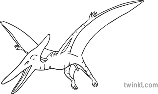 Pterodactyl Black And White 2 Pterodactyl Black And White Png Pterodactyl Png