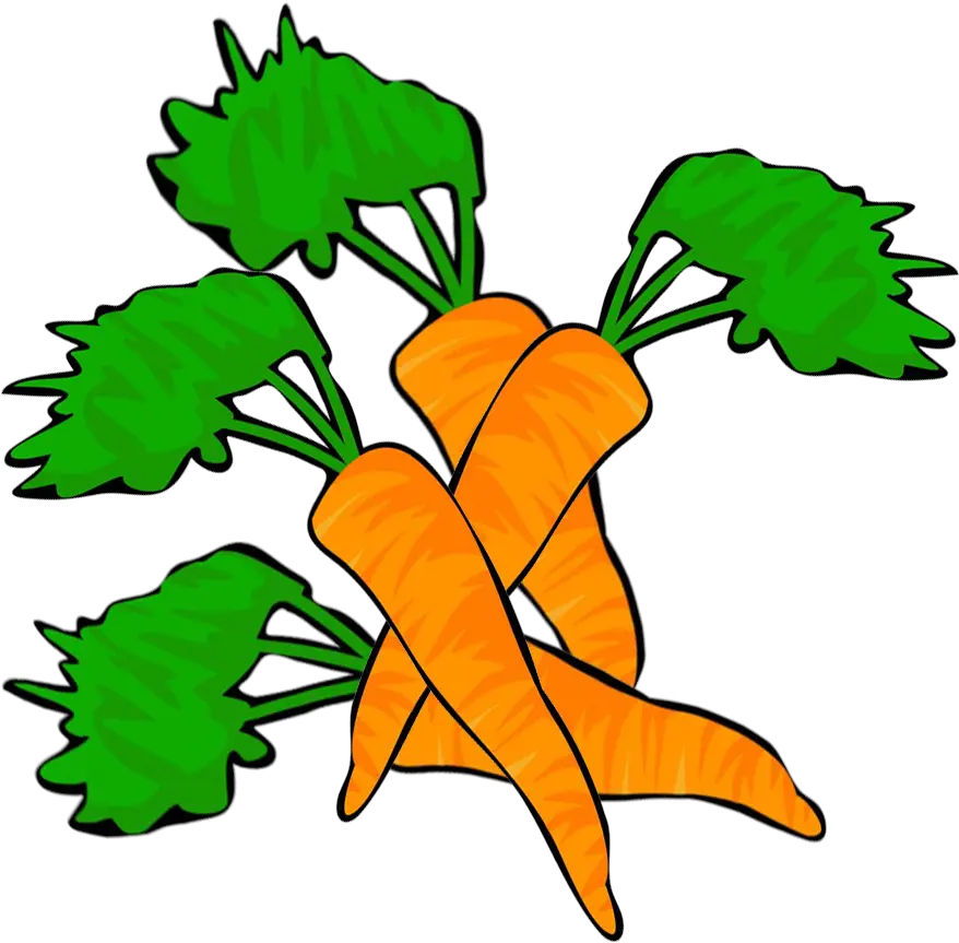 Vegetables Clipart Clip Art Png Carrot Transparent Background