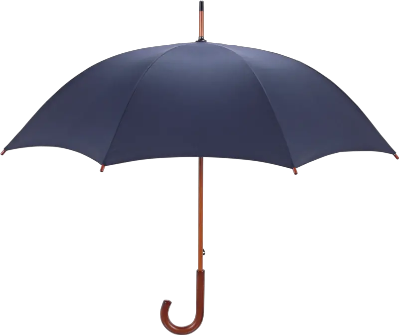 Umbrella Png Download Image With Png Umbrella Transparent Background