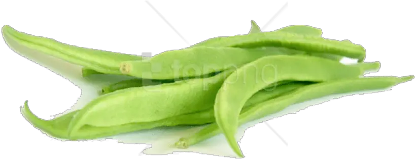 Green Bean Png Images Collection For Beans