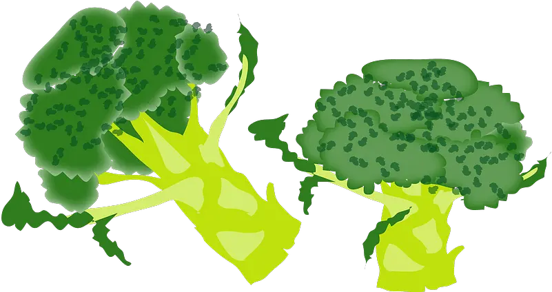 Broccoli Clipart Free Download Transparent Png Creazilla