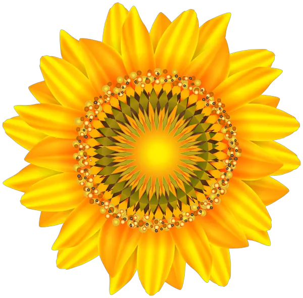 Sunflower Overlay Png