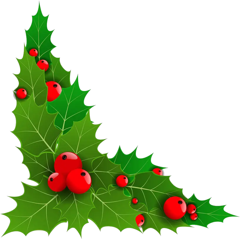 Holly Clipart For Holiday Png Holly Leaves Png