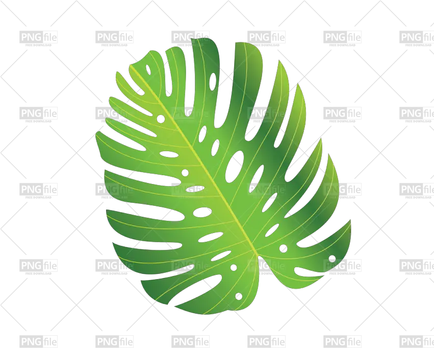 Green Tropical Leave Png Free Download Illustration Leave Png