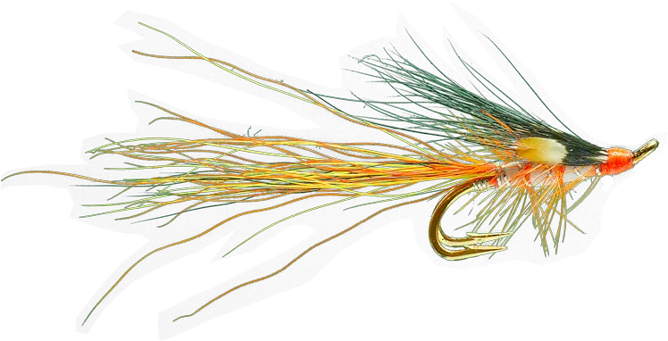 Recommended Salmon Flies For The Wye Dyed Png Flies Png