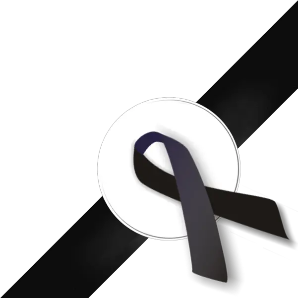 Black Ribbon Png Transparent Collections Black Ribbon Png Ribbon Png