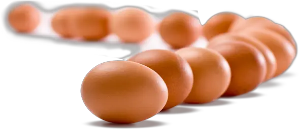 Download Eggs Png Hd 176 Eggs Png Egg Png