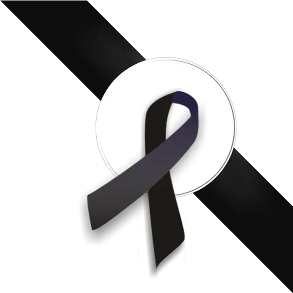 Black Ribbon Png Hd Pictures Vhvrs Moño Negro Sin Fondo Ribbon Png Transparent