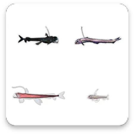 Download Viper Fish Whatsapp Stickers Apk Free Aircraft Png Ryan Sheckler Icon