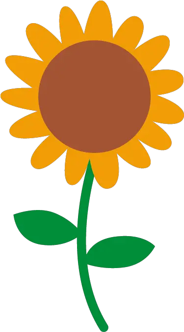 Dibujo De Girasol A Color Png Image El Dibujo Del Girasol Girasol Png