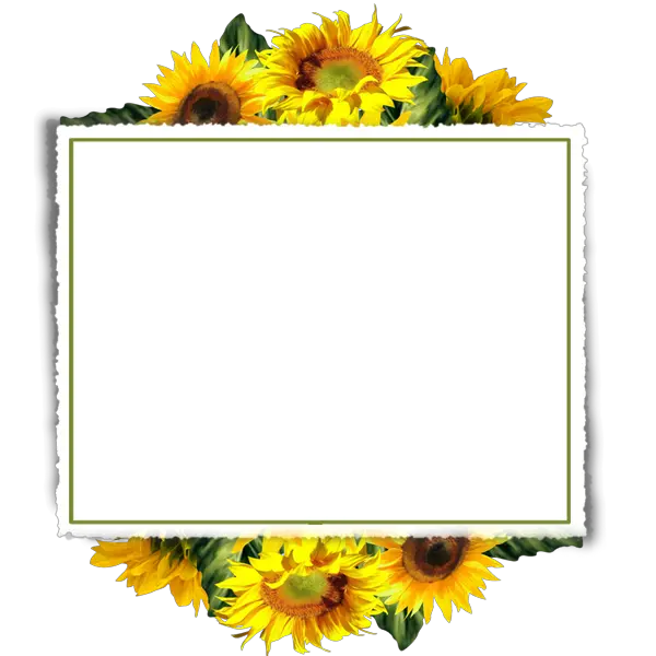 Simple Sunflower Png