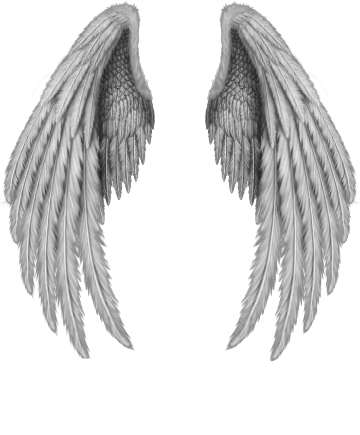 Victorias Secret Angel Wings Png