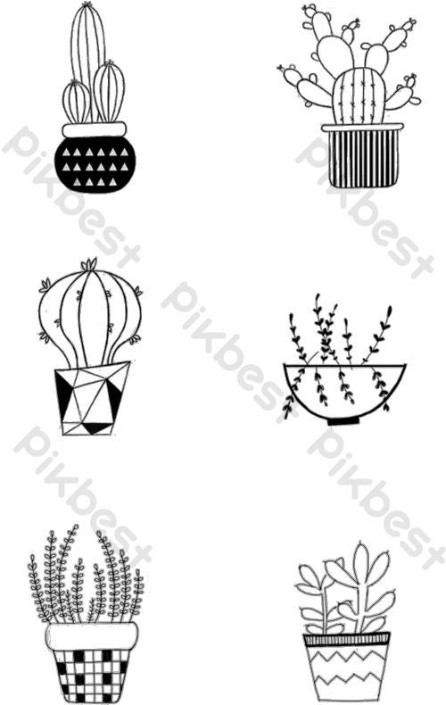 Black And White Drawing Small Potted Illustration Png Hitam Putih Mudah Digambar Succulent Icon