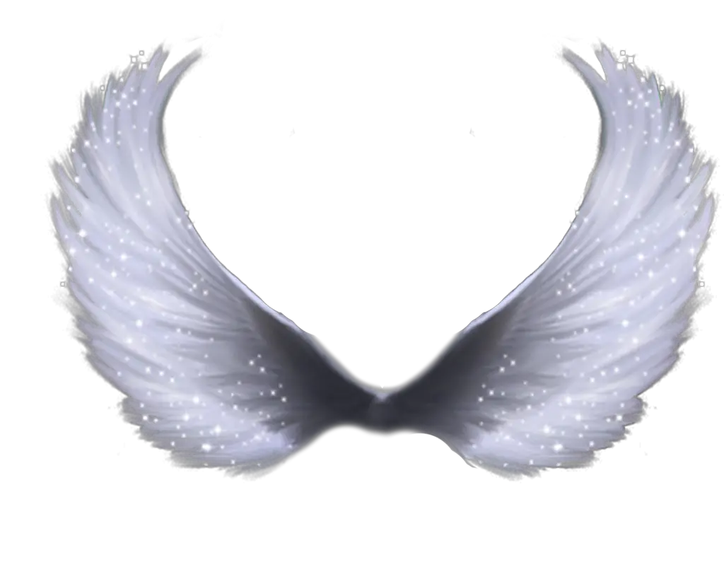 Vector Angel Wings With Crown Png