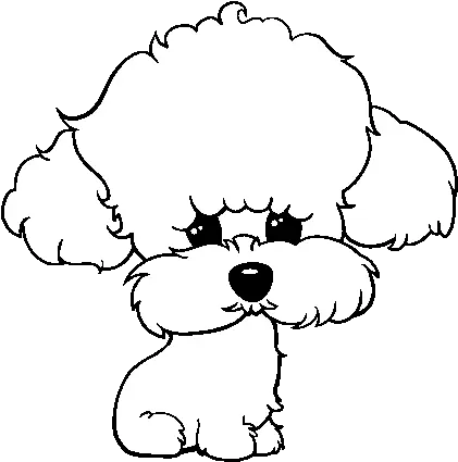 Puppy Poodle Coloring Page Coloringcrewcom Perro Poodle Para Colorear Png Poodle Png