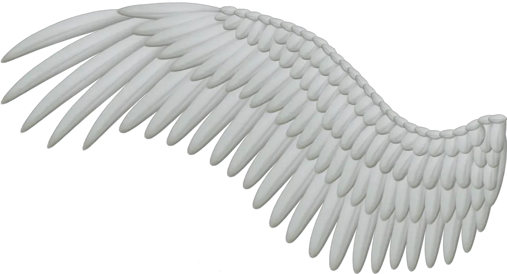 Transparent Angel Wing Png