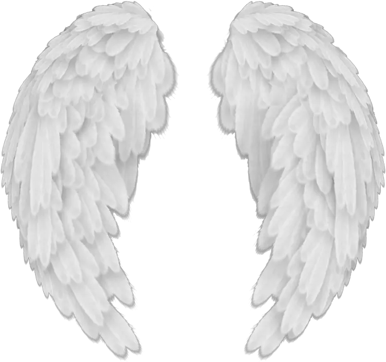 The Angel Wing Png