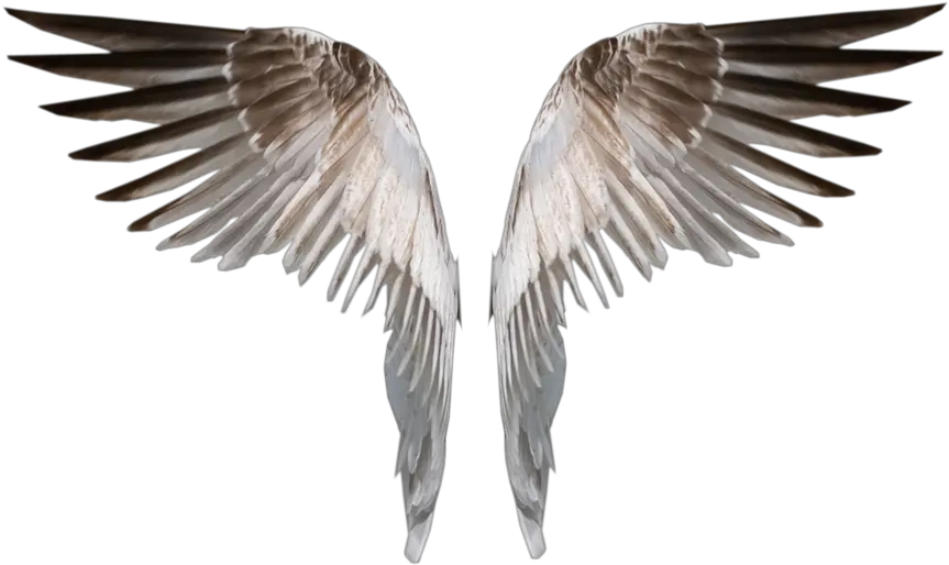 Solid Angel Wings Clipart Png