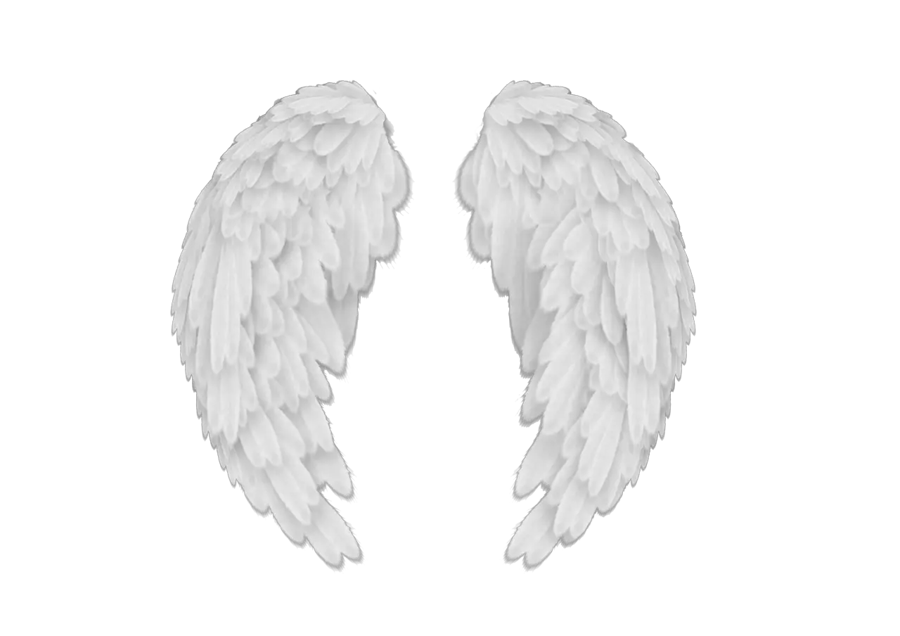 Small Angel Wing Png