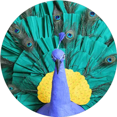 Break Free Piñatas Custom Handmade Peafowl Png Pinata Icon