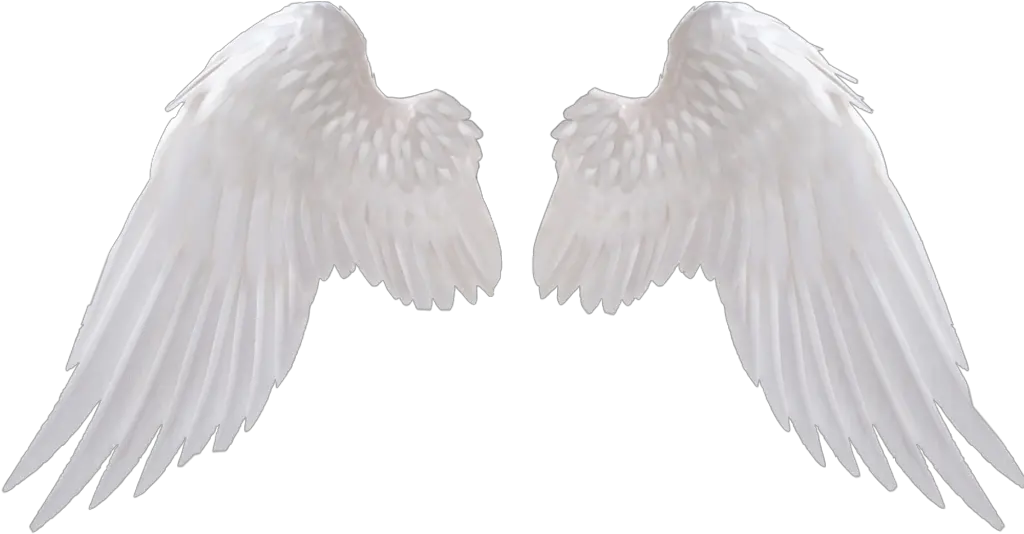 Side View Angel Wings Png