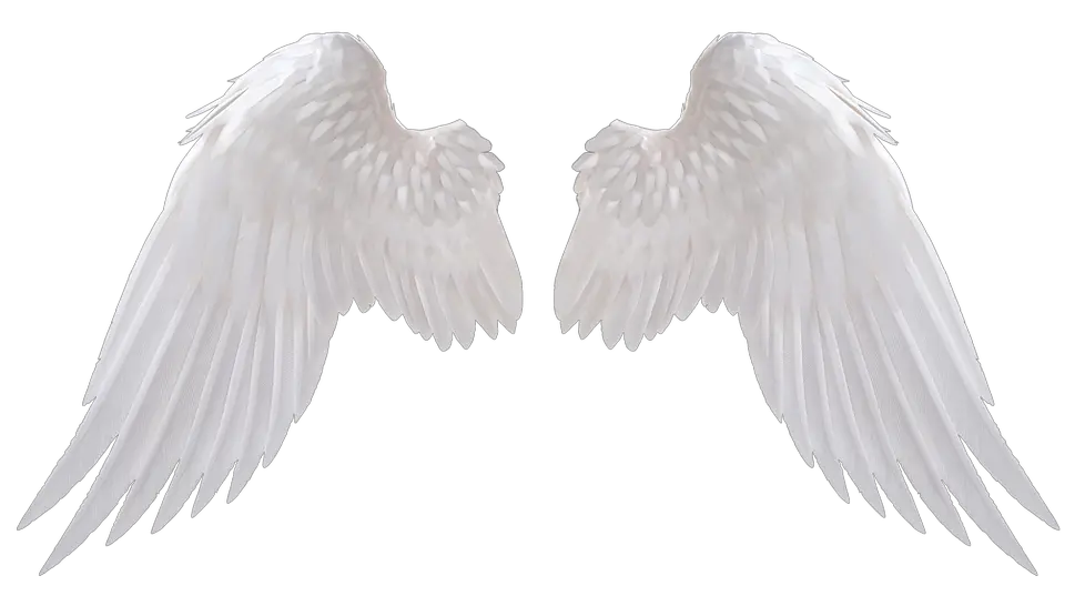 Rainbow Angel Wings Png Drawing Only Right Wing