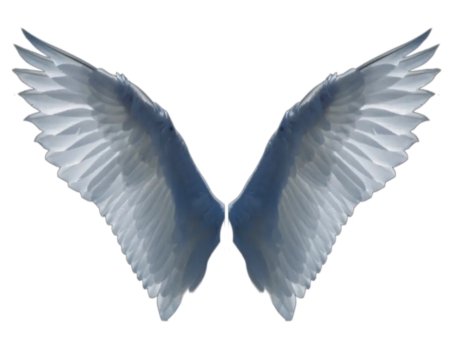 Latino Angel Wings Png