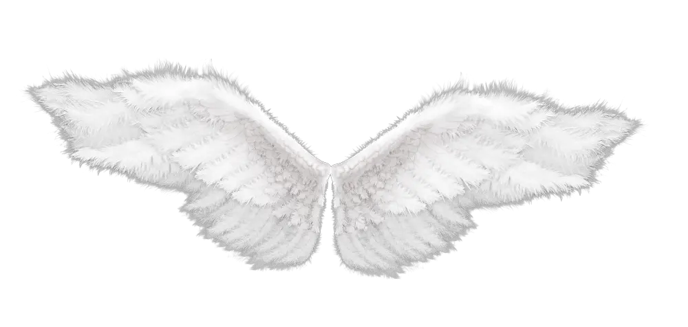 Heart With Angel Wings Png