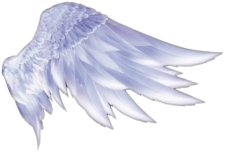 Free Download Transparent Angel Wings Png