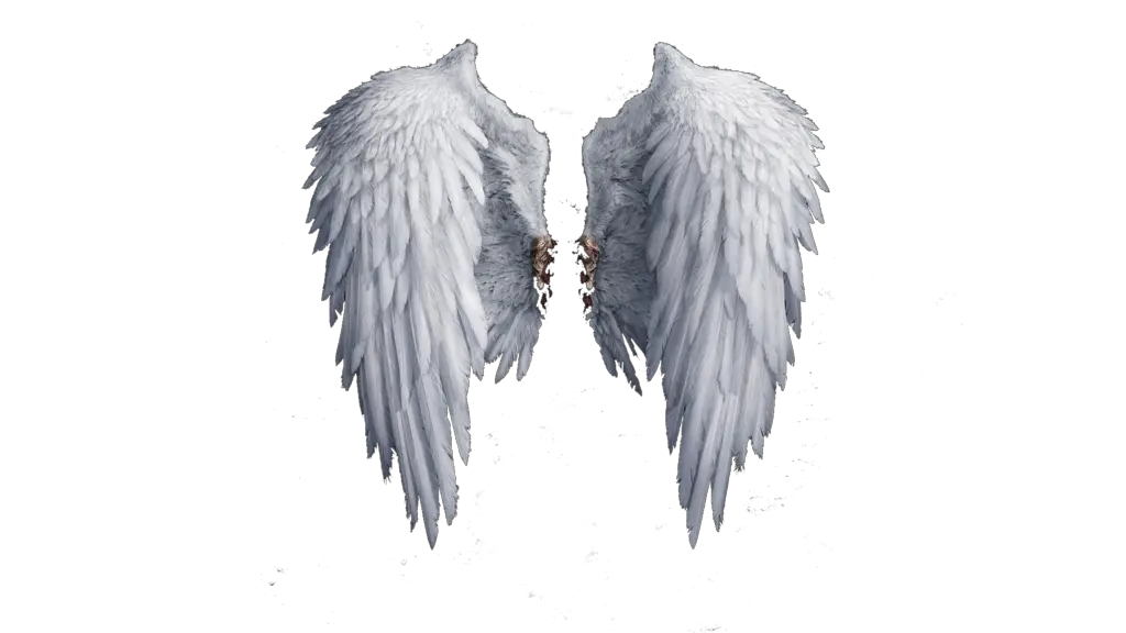 Download Png Angel Wings