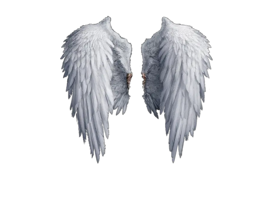 Clipped Angel Wings Png