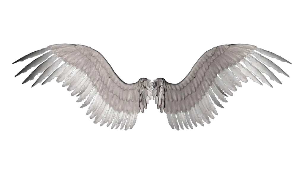 Cartoon Angel Wing Png