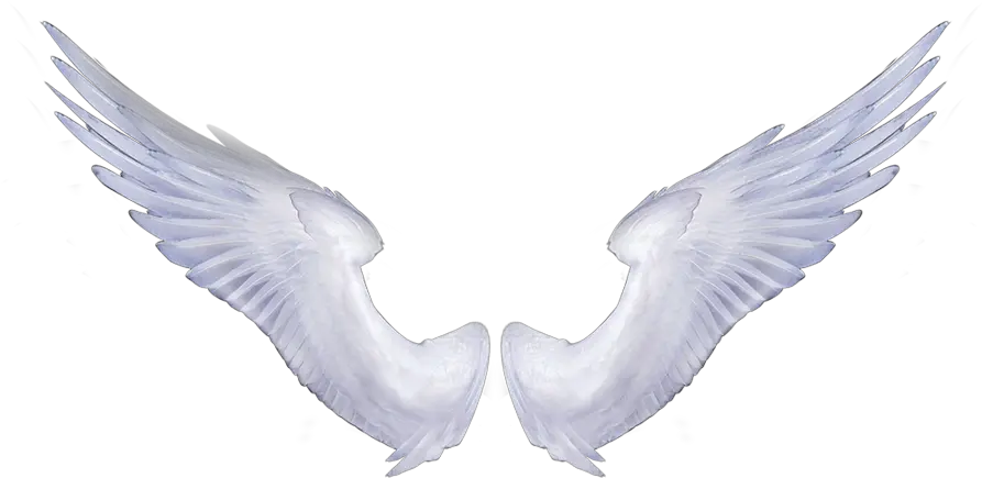 Baby Feet With Angel Wings Png